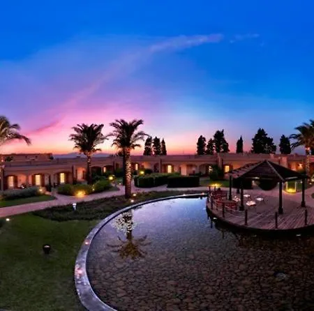 Отель Altafiumara Isole 4* 4*